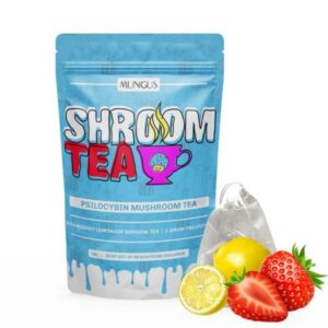 Strawberry Lemonade Shroom Tea | 1 GRAM
